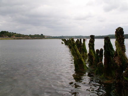 20060810 143238